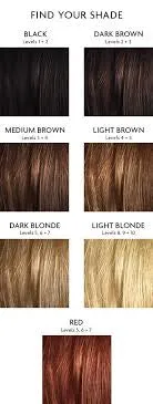 BRIGHT SHADOWS Root Touch Up Spray DARK BROWN