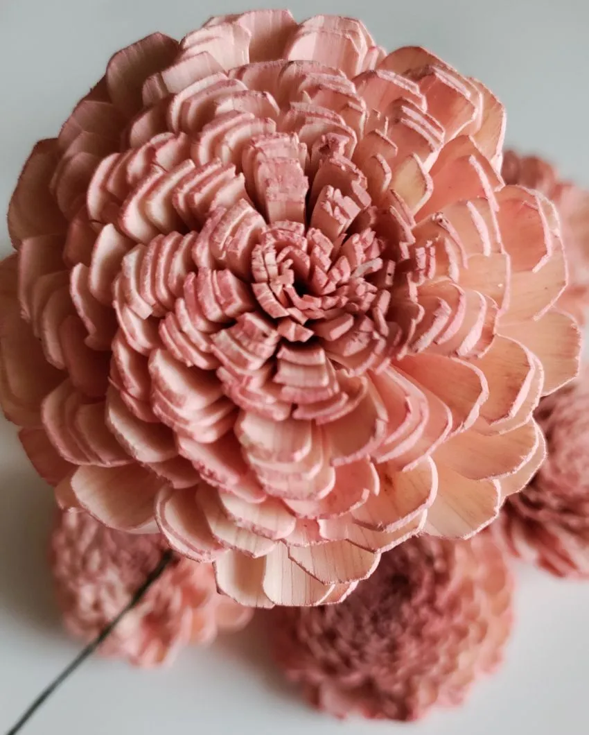 Cherie Sholapith DIY Flower Bunch | Vase Not Included | 11 Flower Heads
