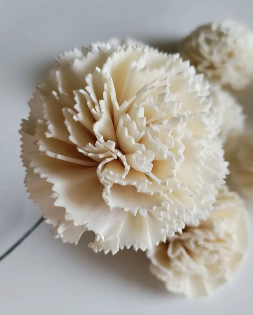 Cherie Sholapith DIY Flower Bunch | Vase Not Included | 11 Flower Heads