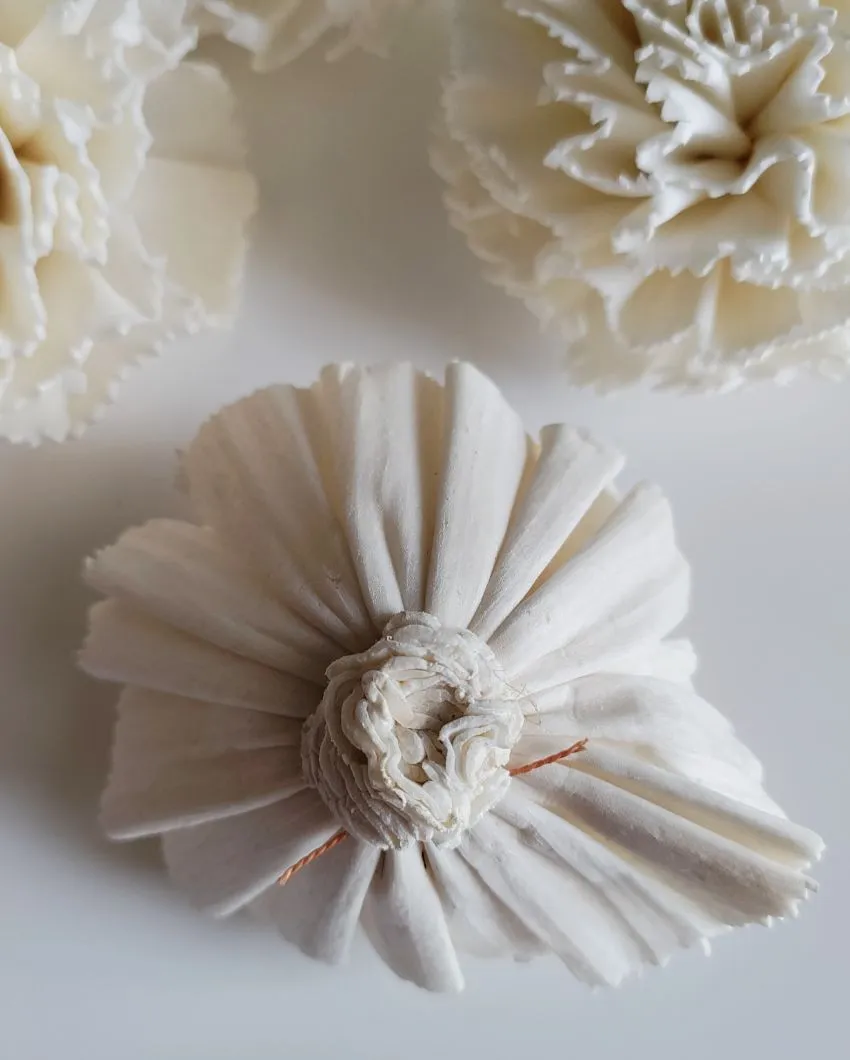 Cherie Sholapith DIY Flower Bunch | Vase Not Included | 11 Flower Heads