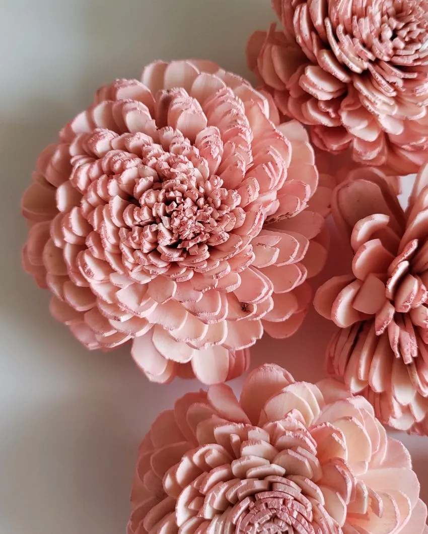 Cherie Sholapith DIY Flower Bunch | Vase Not Included | 11 Flower Heads