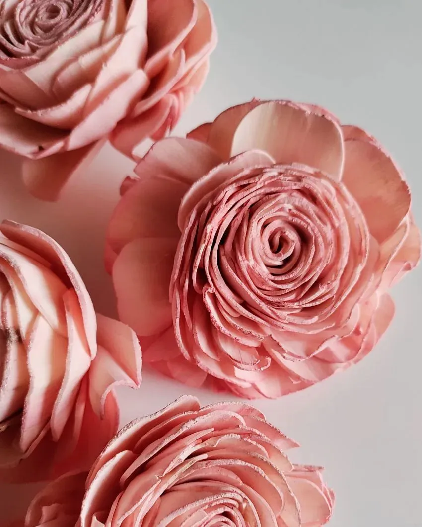 Cherie Sholapith DIY Flower Bunch | Vase Not Included | 11 Flower Heads