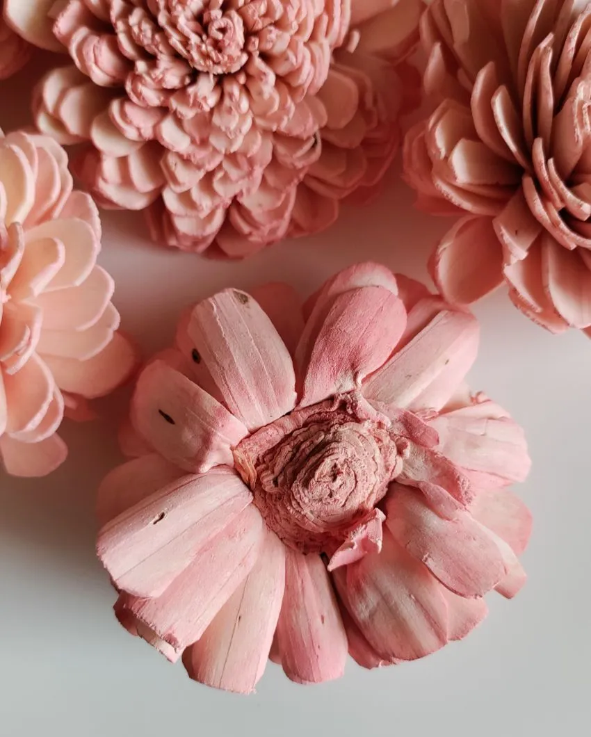 Cherie Sholapith DIY Flower Bunch | Vase Not Included | 11 Flower Heads
