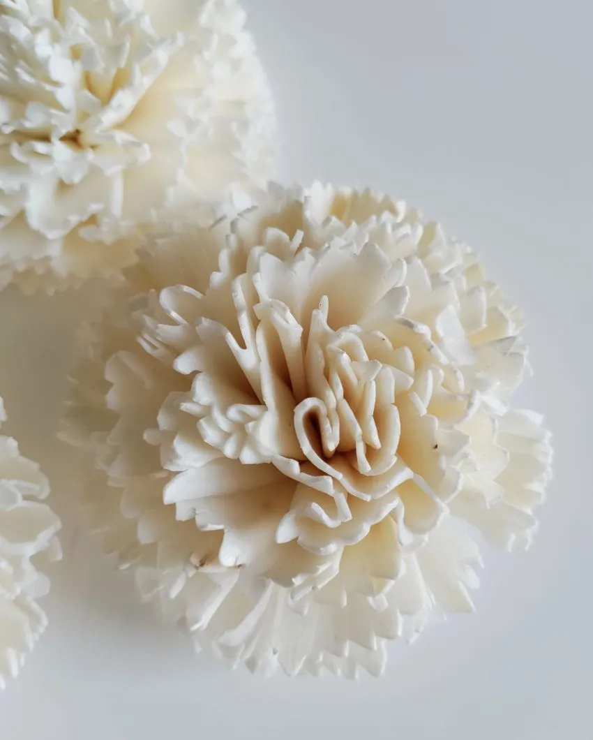 Cherie Sholapith DIY Flower Bunch | Vase Not Included | 11 Flower Heads