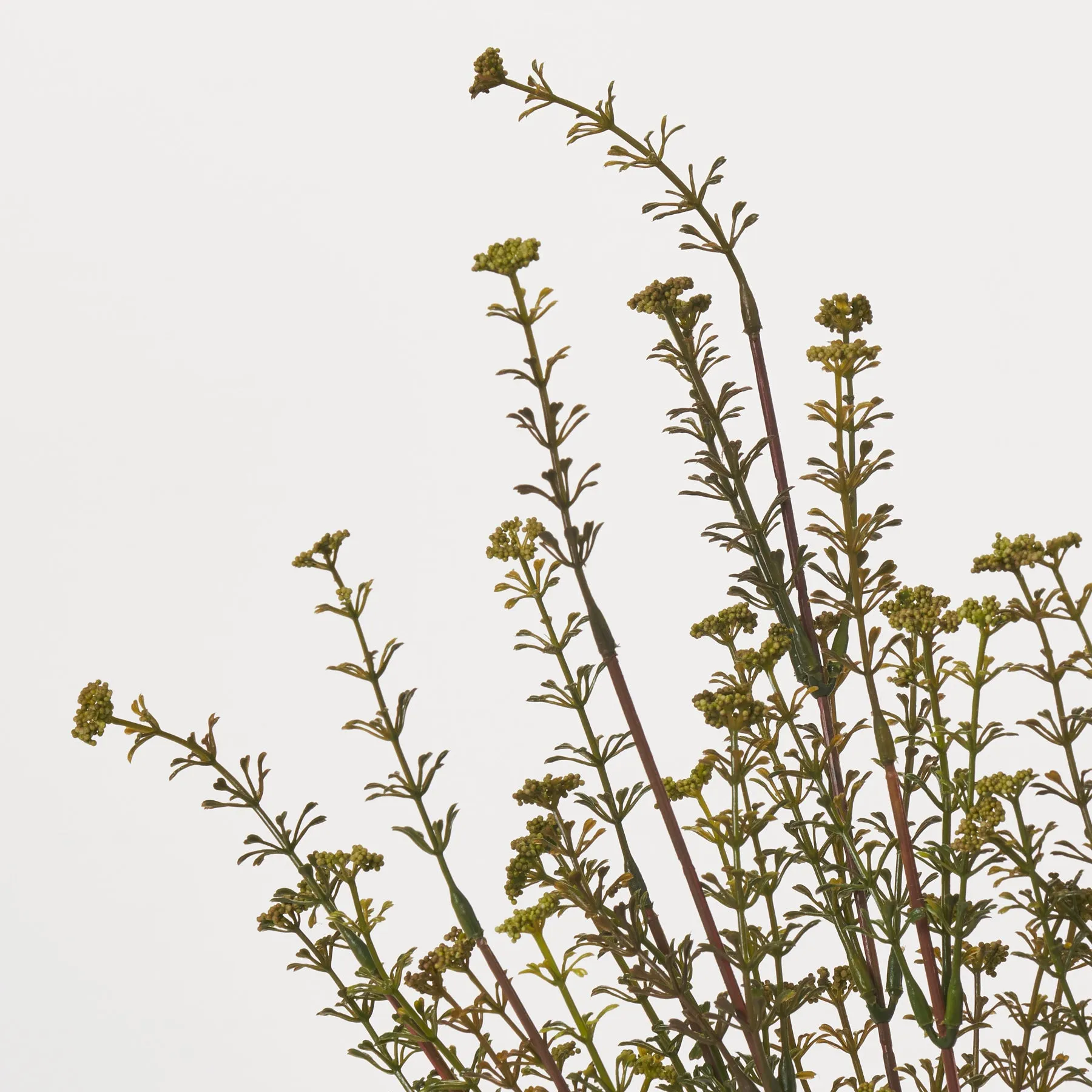Dark Green Faux Seeding Wildflower Bush Spray - 21"