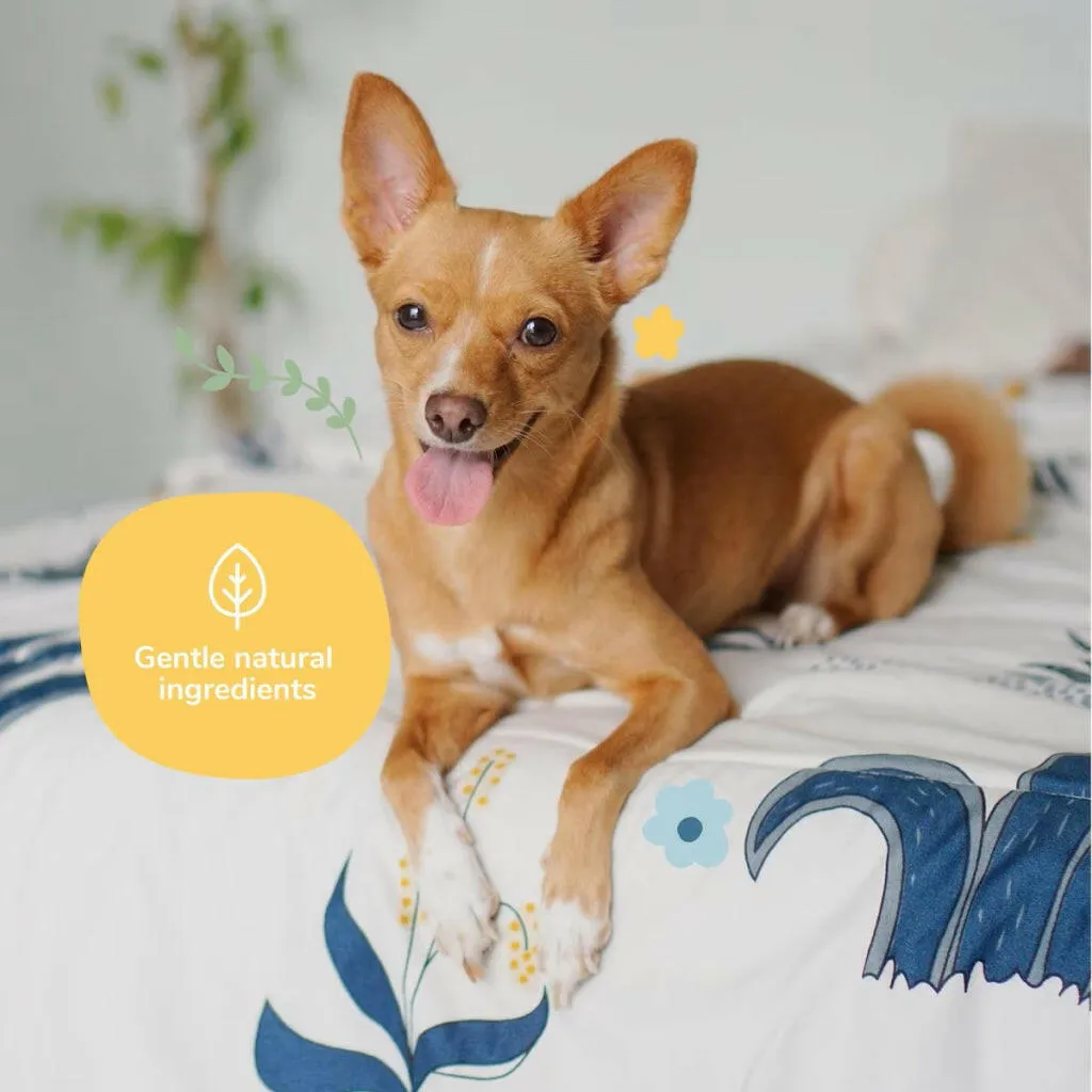 kin kind Almond & Vanilla Coat Spray for Dog Smells (12 oz)