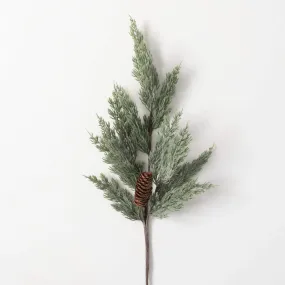 Long Pine Spray