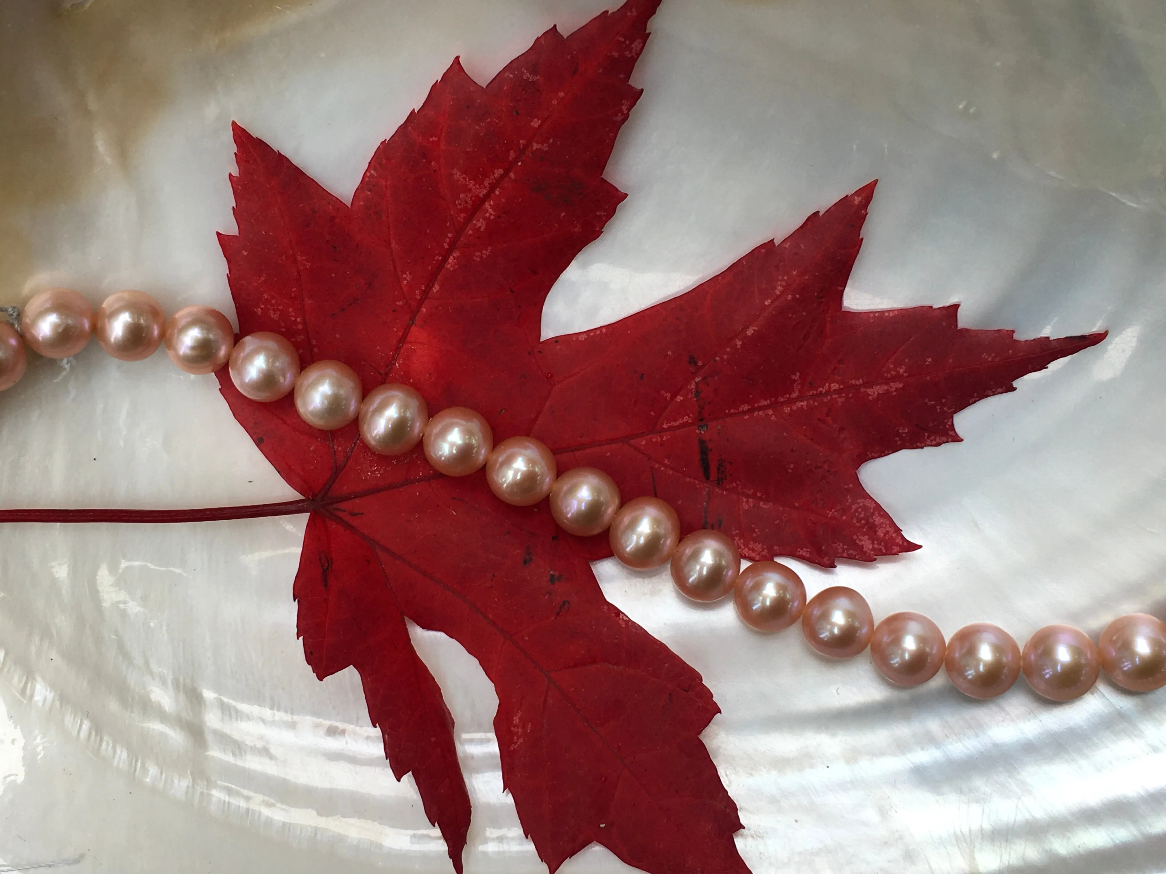 Long Station Pearl Necklace | Converts to Double strand | AAA 8mm Natural Pink Freshwater Cultured | Tin Cup Style Necklace Pearls on Chain