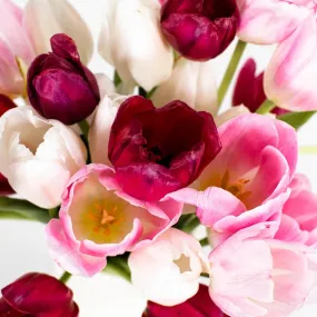 Passion Pack Fresh Cut Tulips