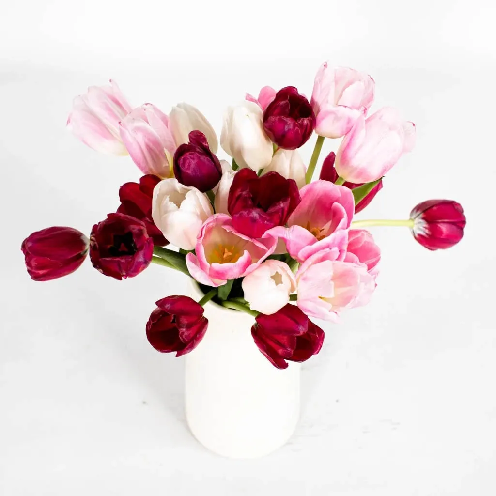 Passion Pack Fresh Cut Tulips