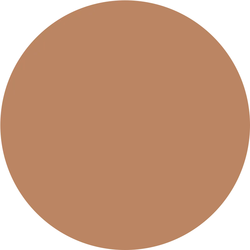 Skin Tint Serum Foundation Dark